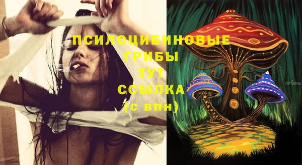 твердый Алзамай