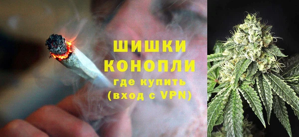 твердый Алзамай